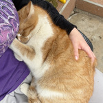 Fotka od hlídačky Justína 