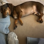 Fotka od hlídačky Justína 