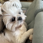 Fotka od hlídačky Justína 