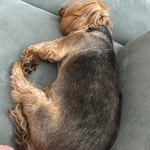 Fotka od hlídačky Justína 