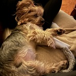 Fotka od hlídačky Justína 