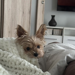 Fotka od hlídačky Sara 