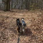 Fotka od hlídačky Sara 