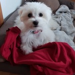 Fotka od hlídačky Silvia 